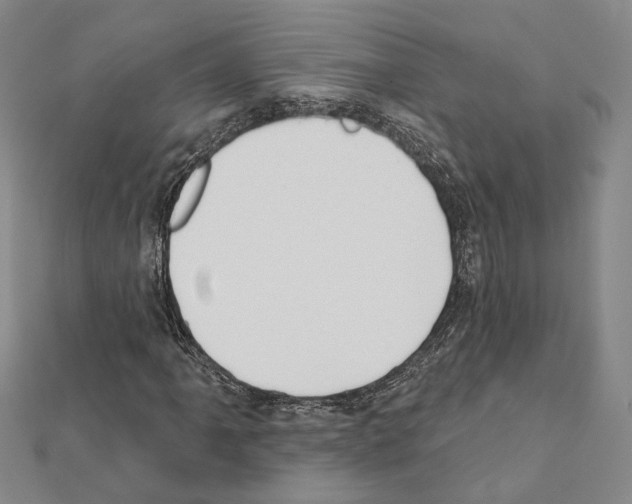 X0000111441061200908241139