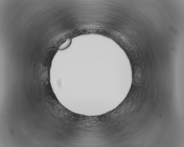 X0000111441062200908241139