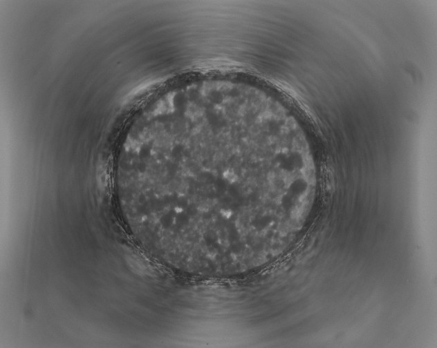 X0000111441063200908241139