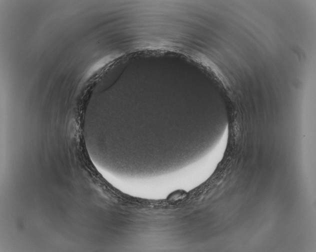 X0000111441064200908241139