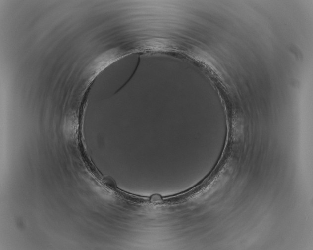 X0000111441065200908241139
