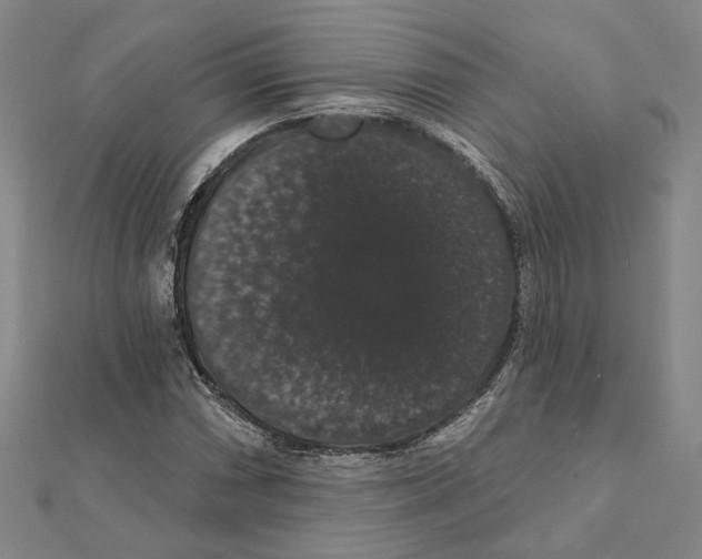 X0000111441066200908241139