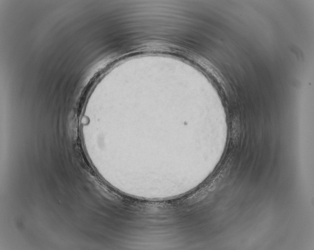 X0000111441067200908241139
