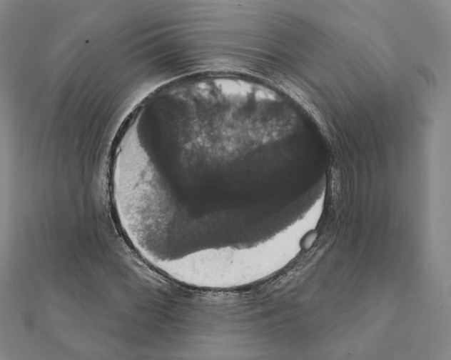 X0000111441068200908241139