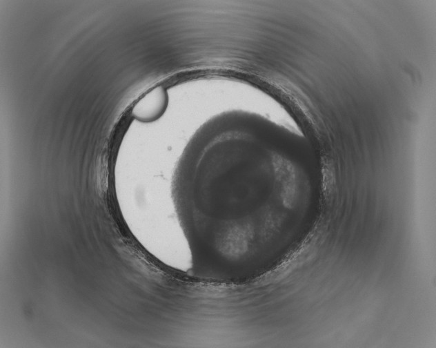 X0000111441069200908241139