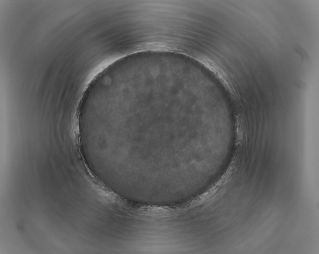 X0000111441070200908241139