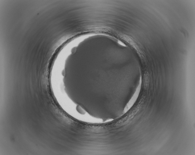 X0000111441071200908241139