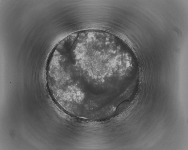 X0000111441072200908241139