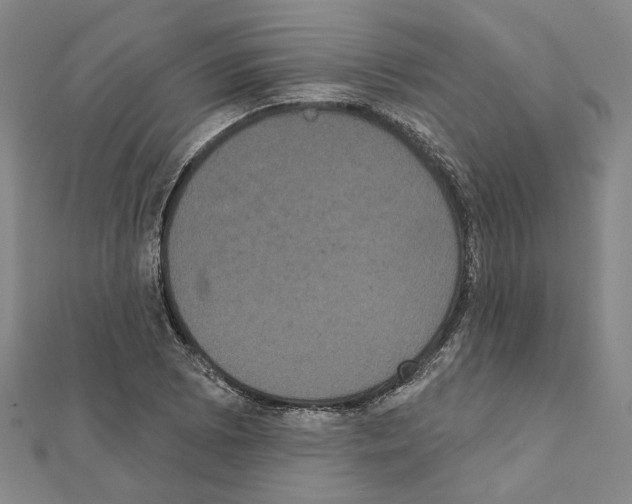 X0000111441073200908241139
