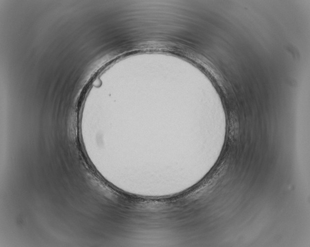 X0000111441075200908241139