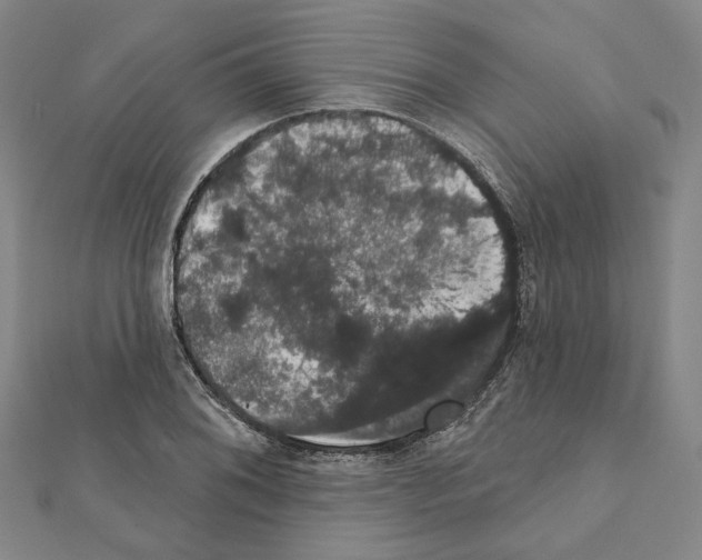 X0000111441076200908241139