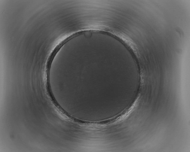 X0000111441077200908241139