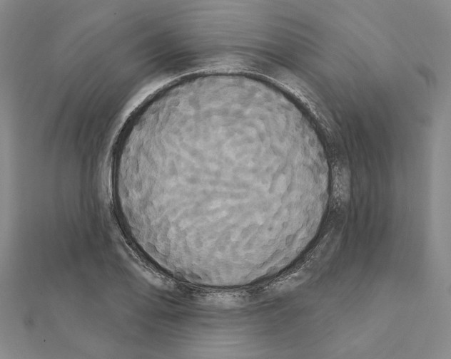 X0000111441078200908241139