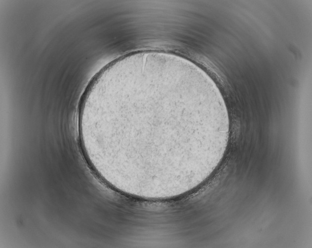 X0000111441079200908241139