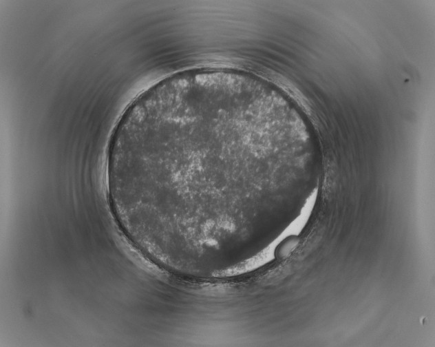 X0000111441080200908241139