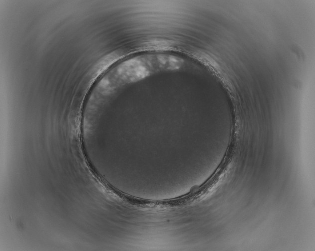 X0000111441081200908241139