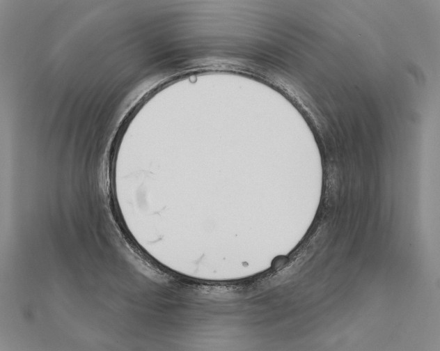 X0000111441082200908241138