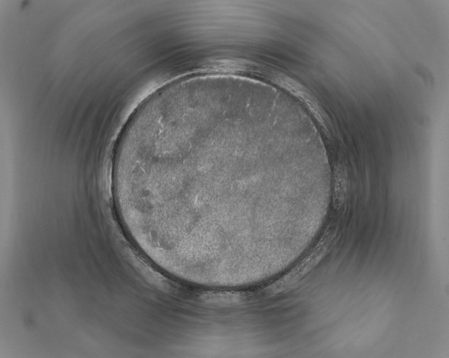 X0000111441083200908241138