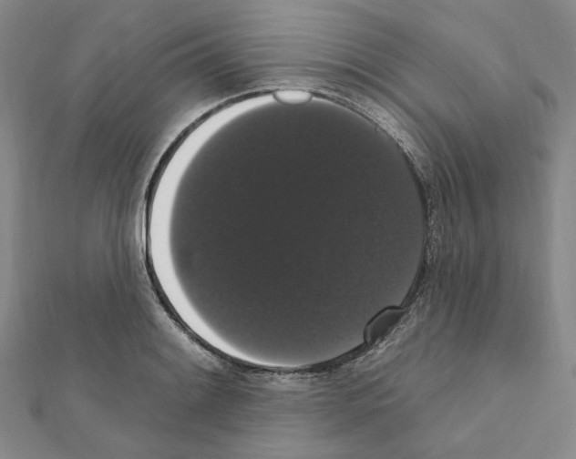 X0000111441084200908241138