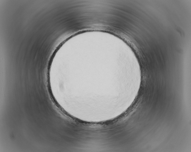 X0000111441085200908241138