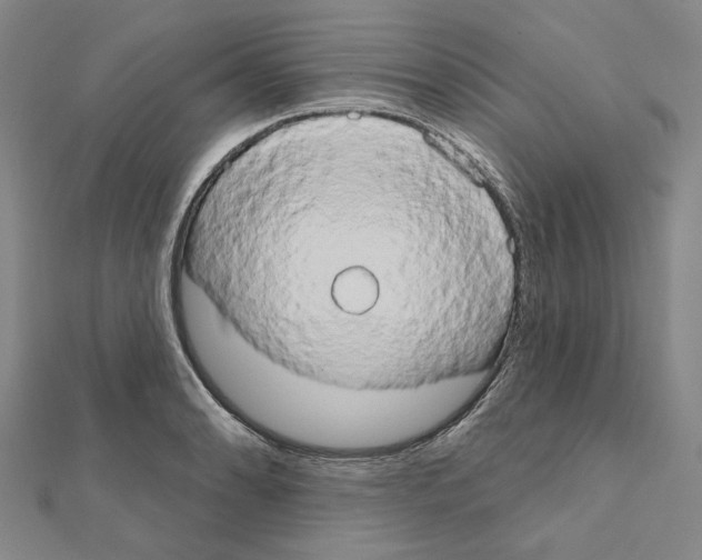 X0000111441086200908241138