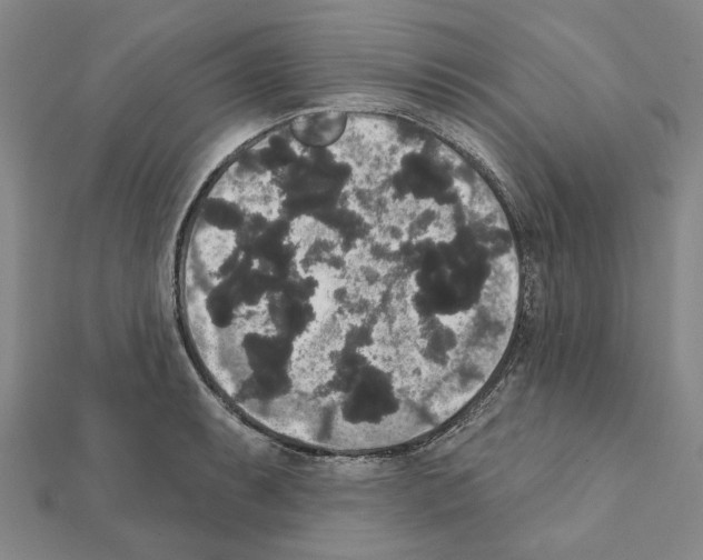 X0000111441087200908241138