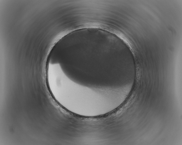 X0000111441088200908241138