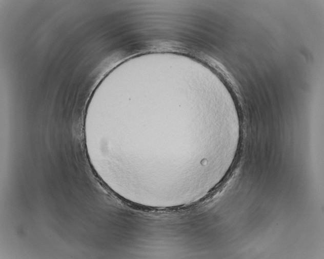 X0000111441089200908241138