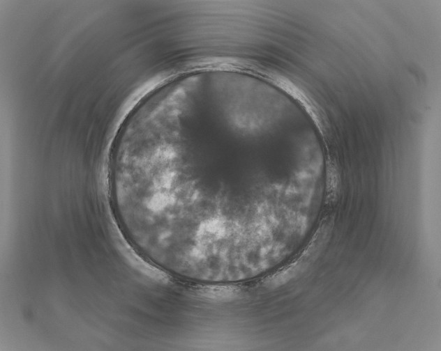 X0000111441090200908241138