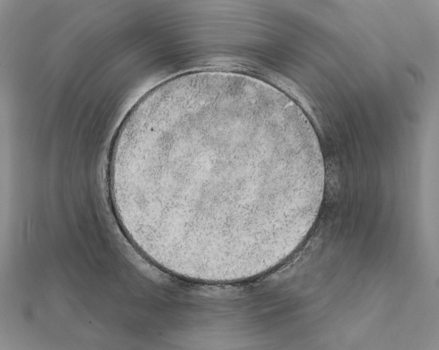 X0000111441091200908241138