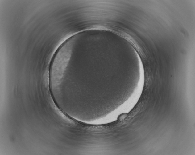 X0000111441092200908241138