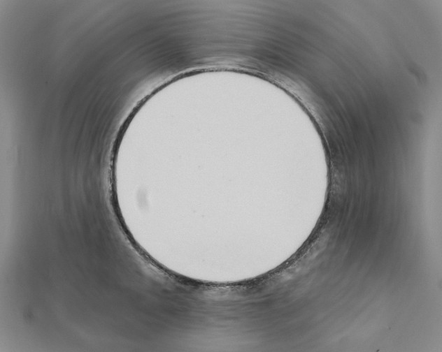 X0000111441093200908241138