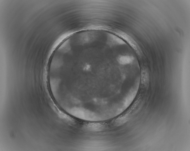 X0000111441094200908241138