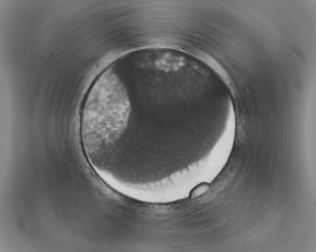 X0000111441096200908241138