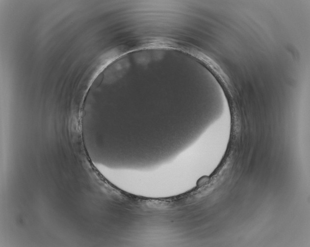 X0000111441097200908241138
