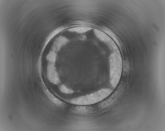 X0000111441098200908241138