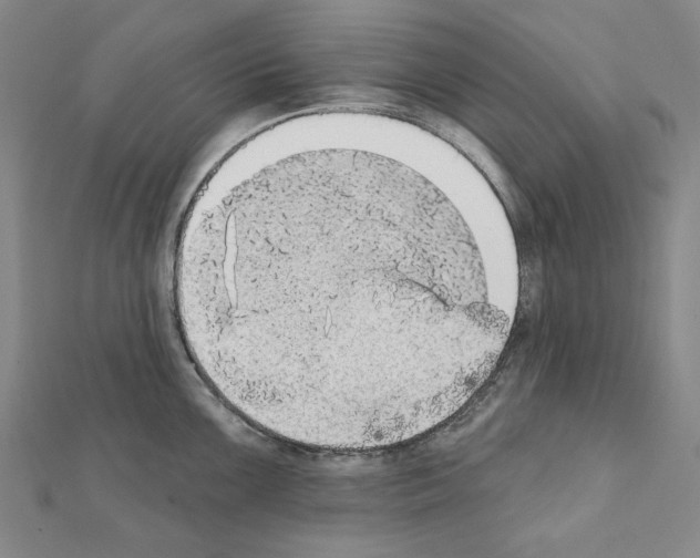 X0000111441099200908241138