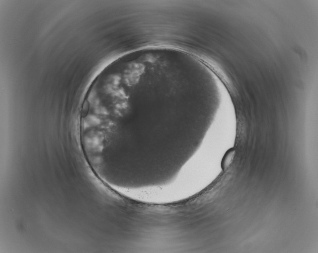 X0000111441100200908241138