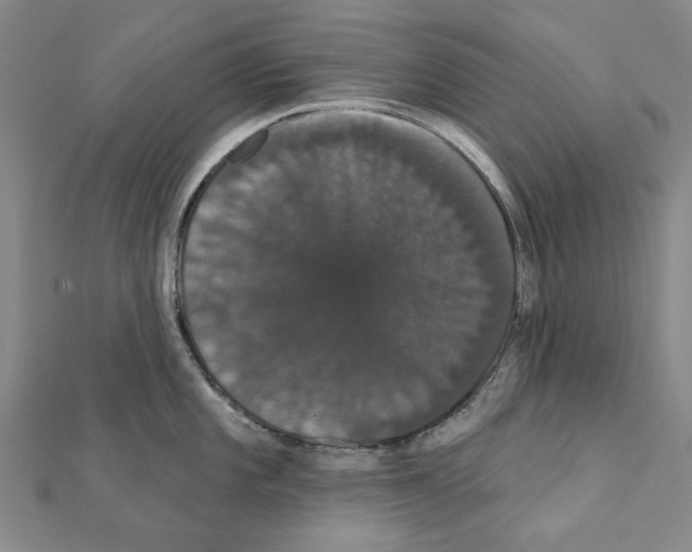 X0000111441101200908241138