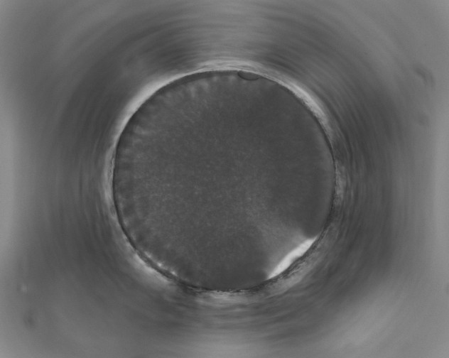 X0000111441102200908241138