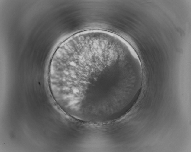 X0000111441104200908241138