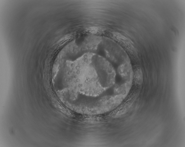 X0000111441105200908241137