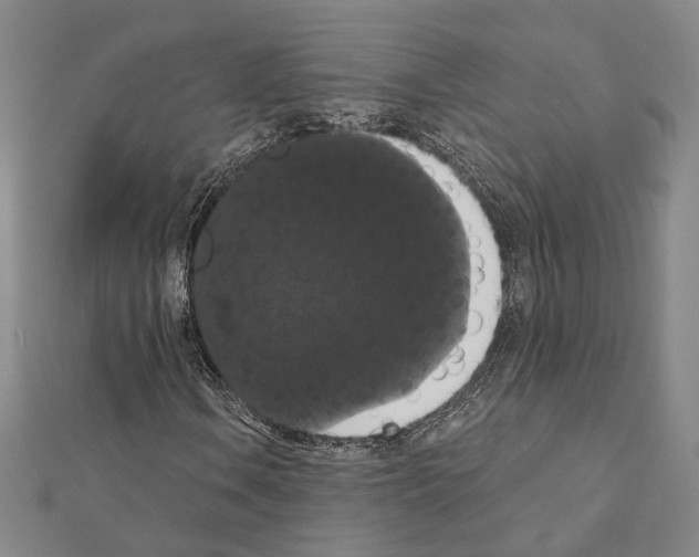 X0000111441106200908241137