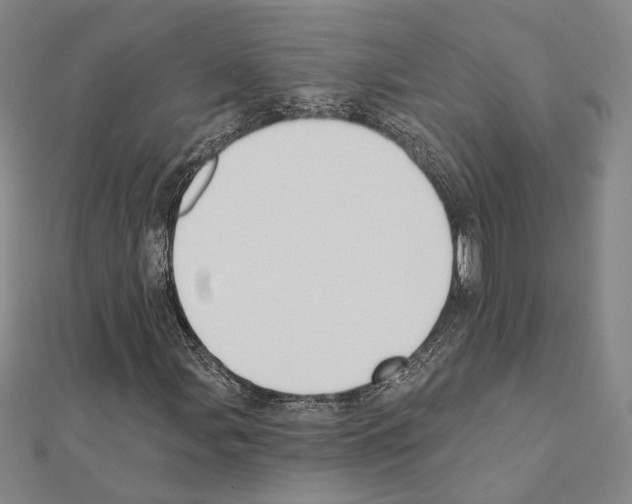 X0000111441107200908241137