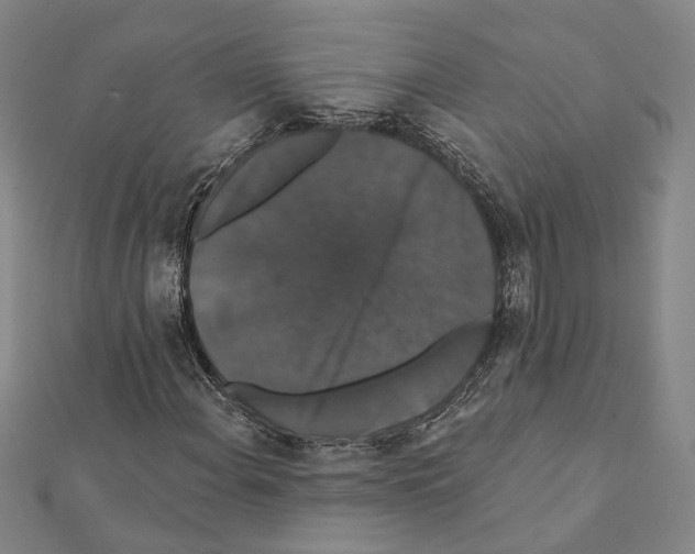 X0000111441108200908241137