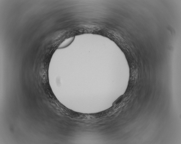 X0000111441109200908241137