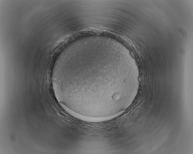 X0000111441110200908241137