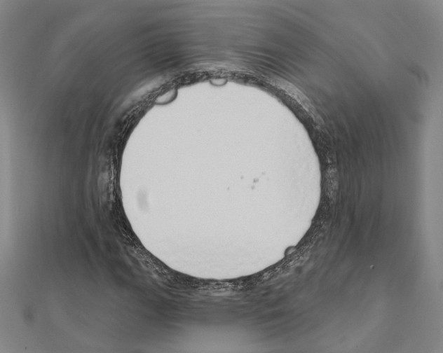 X0000111441111200908241138