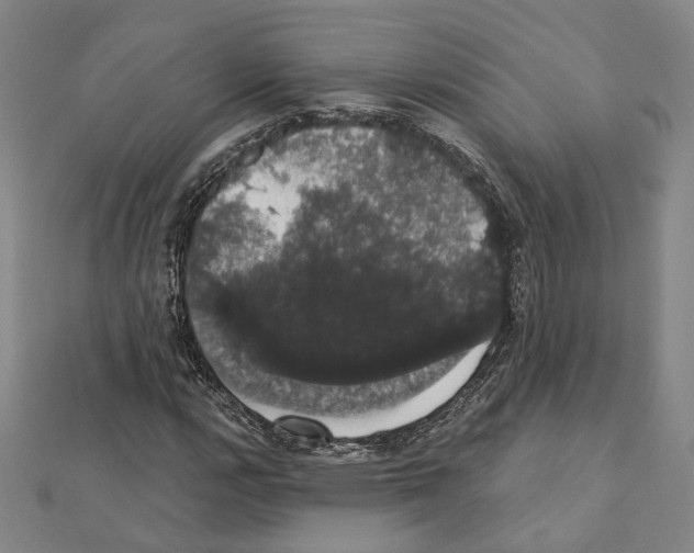 X0000111441112200908241138