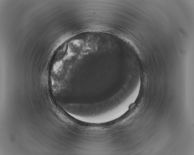 X0000111441114200908241138